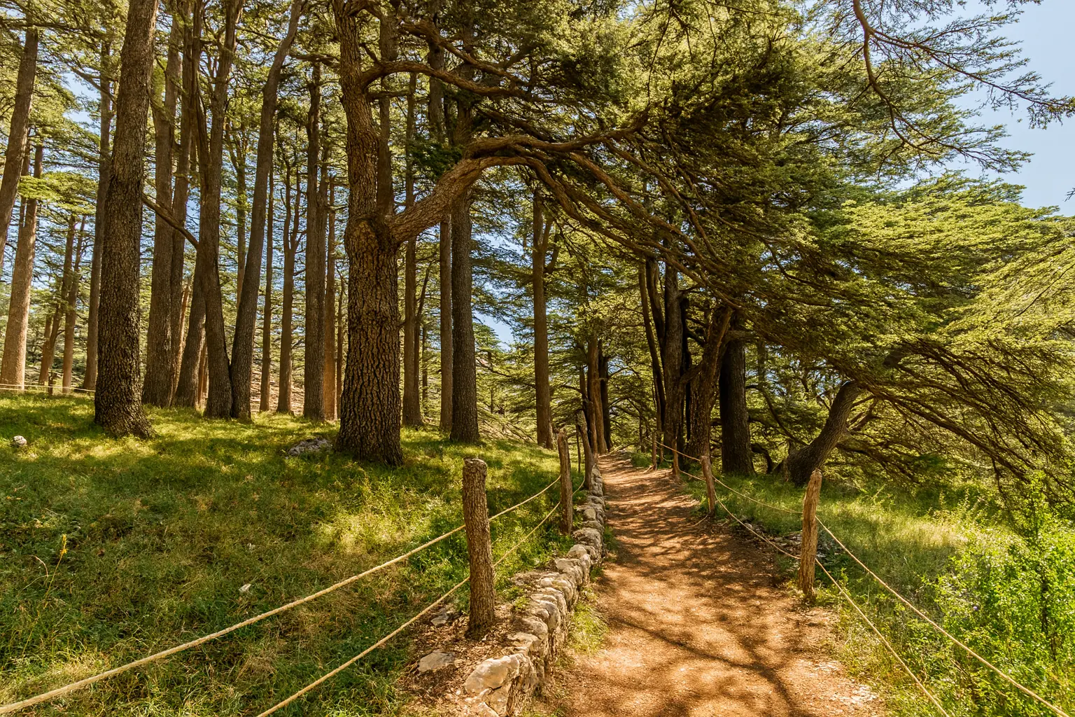 Paysage apaisant illustrant un espace de psychothérapie